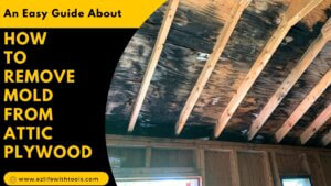 How to Remove Mold from Attic Plywood